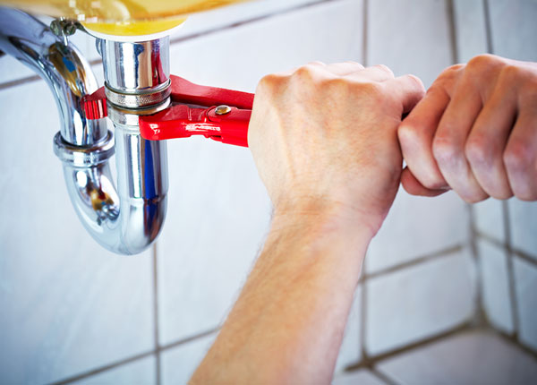 About Rogers Plumbers